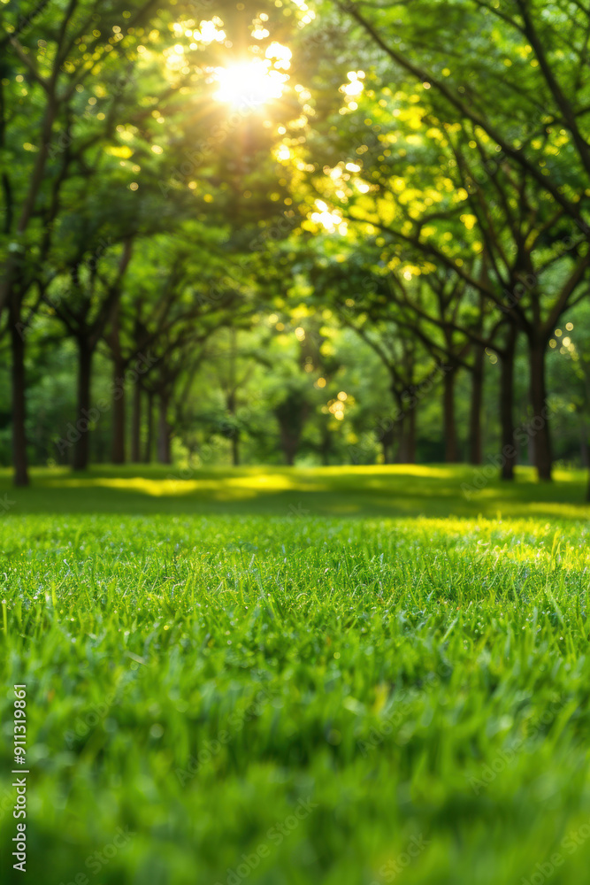 Serene park scene with lush green grass, tall trees, and sunlight filtering through foliage, creating a peaceful, natural atmosphere. Serene park scene with lush green grass, tall trees, and sunlight filtering through foliage, creating a peaceful, natural atmosphere.