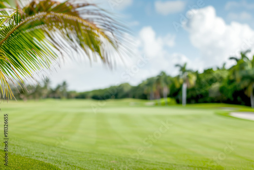 Lush green golf course with clear blue skies, palm trees, and a scenic view in a tropical setting, perfect for outdoor sports and relaxation. photo