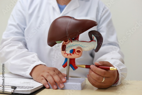 Quadro su tela The liver is a large, vital organ that detoxifies chemicals, metabolizes drugs, produces bile, and stores nutrients