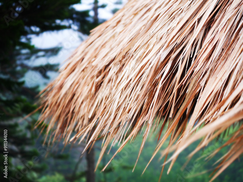 straw roof, The straw roof moved from the storm, Part of Thatched Roof with Straw, The wind is blowing strong, A rainstorm is coming, It's about to rain