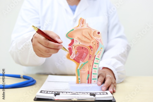 The respiratory system enables breathing, delivering oxygen to the blood and removing carbon dioxide. It includes the nose, trachea, lungs, and diaphragm, crucial for cellular respiration and overall  photo