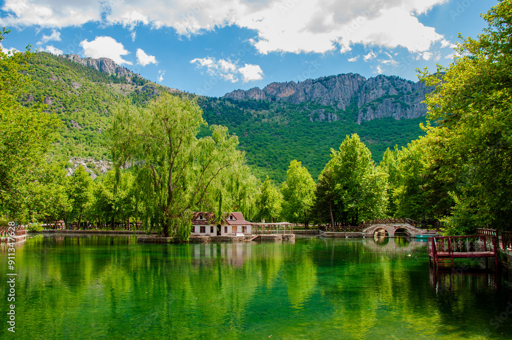 Obraz premium landscape with lake and mountains 