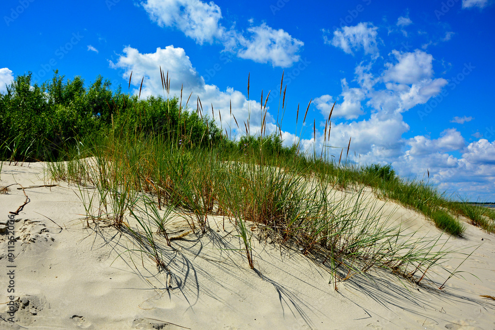 piaszczysta wydma nadmorska, piaszczysta wydma z trawami na tle nieba i pierzastych chmur, seaside sand dune, sand dune with grasses against the background of the sky and clouds, nadmorski pejzaż