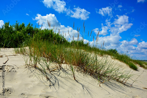 Obraz na płótnie piaszczysta wydma nadmorska, piaszczysta wydma z trawami na tle nieba i pierzastych chmur, seaside sand dune, sand dune with grasses against the background of the sky and clouds, nadmorski pejzaż w salonie