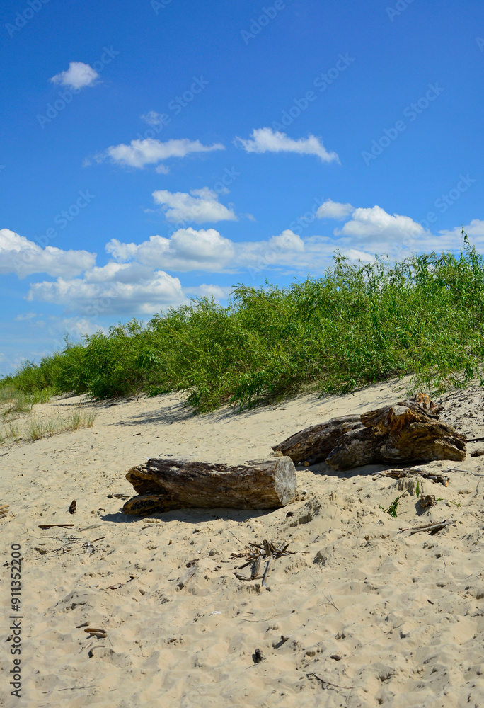 kłody drewna na plaży na tle morza, drewniane klody na piaszczystej wydmie nadmorskiej, malowniczy pejzaż nadmorski, logs on the sand on the sea shore, beach scene, wooden logs on a sandy seaside dune