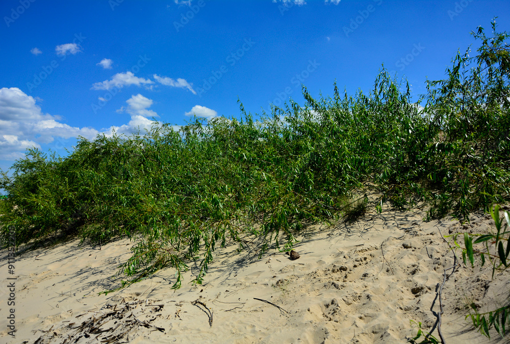 piaszczysta wydma nadmorska, piaszczysta wydma z trawami na tle nieba i pierzastych chmur, seaside sand dune, sand dune with grasses against the background of the sky and clouds, nadmorski pejzaż