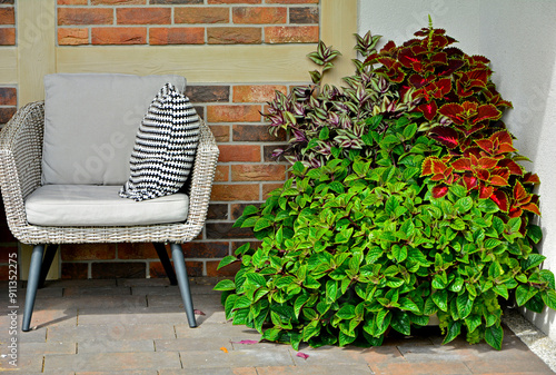 Obraz na płótnie jasny fotel wiklinowy na tarasie w ogrodzie, rattanowy fotel ogrodowy, sitting area in the garden, Recreation area in garden, ogrodowy kącik wypoczynkowy z roślinami i fotelem wiklinowym w salonie