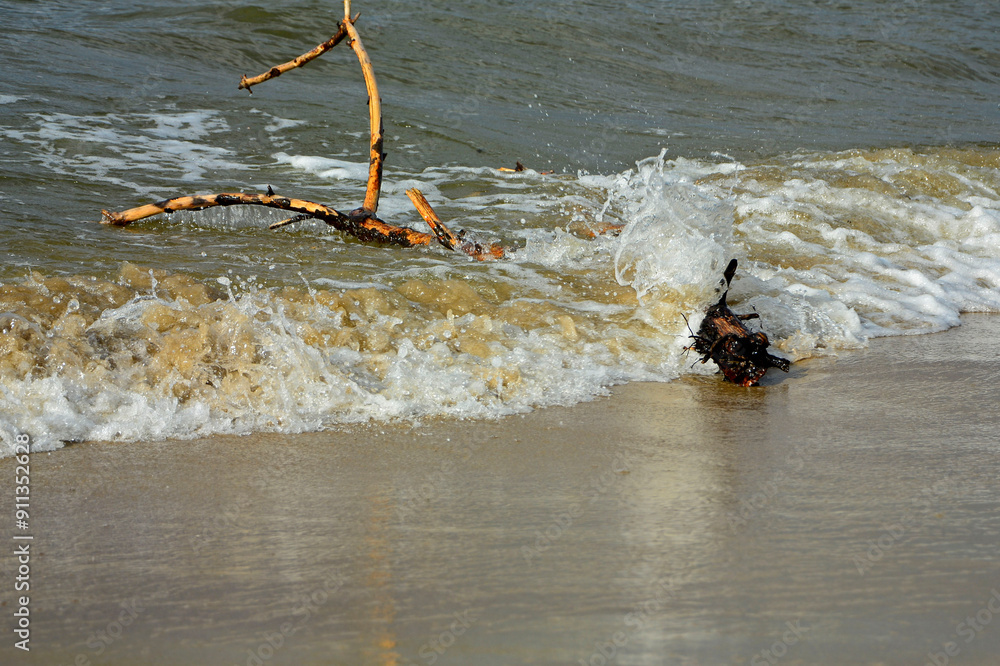 drewno na plaży na tle morza, kawałek drwena na plaży, malowniczy pejzaż nadmorski, log on the sand on the sea shore, beach scene with a large log and sand