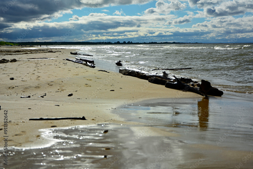 drewno na plaży na tle morza, kawałek drwena na plaży, malowniczy pejzaż nadmorski, log on the sand on the sea shore, beach scene with a large log and sand