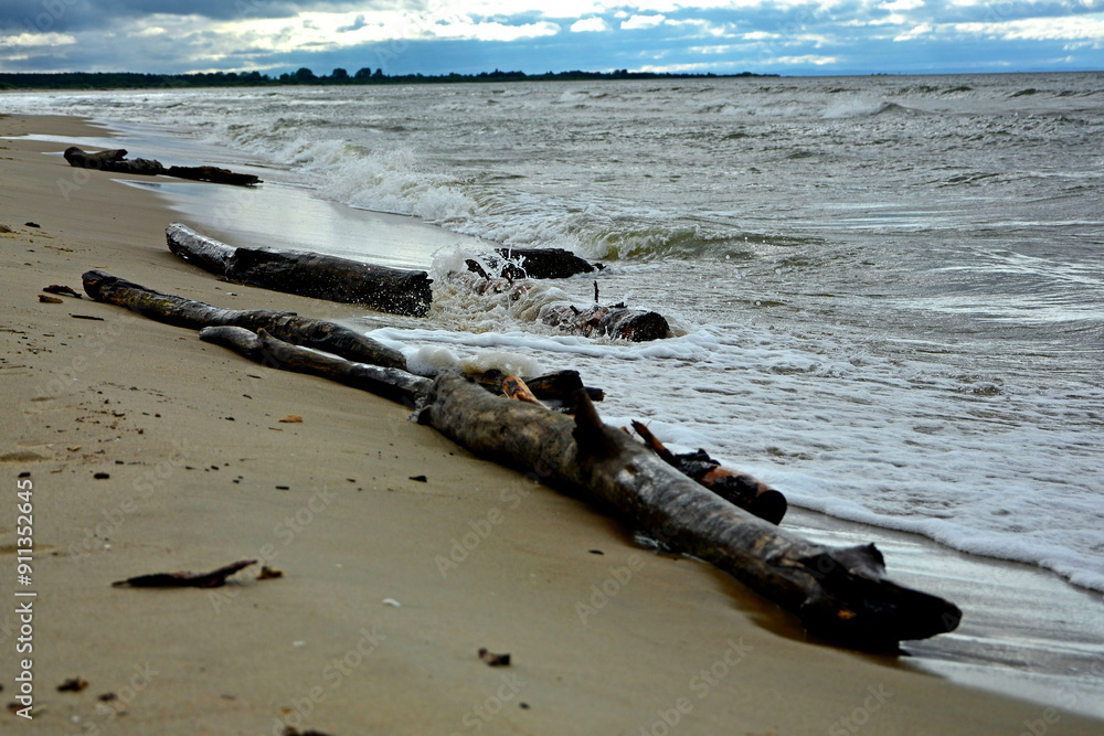 drewno na plaży na tle morza, kawałek drwena na plaży, malowniczy pejzaż nadmorski, log on the sand on the sea shore, beach scene with a large log and sand
