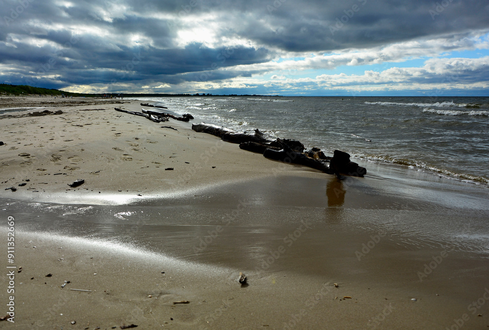 drewno na plaży na tle morza, kawałek drwena na plaży, malowniczy pejzaż nadmorski, log on the sand on the sea shore, beach scene with a large log and sand