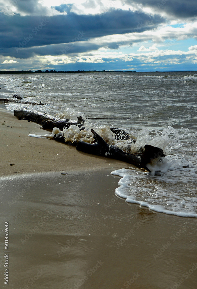 drewno na plaży na tle morza, kawałek drwena na plaży, malowniczy pejzaż nadmorski, log on the sand on the sea shore, beach scene with a large log and sand