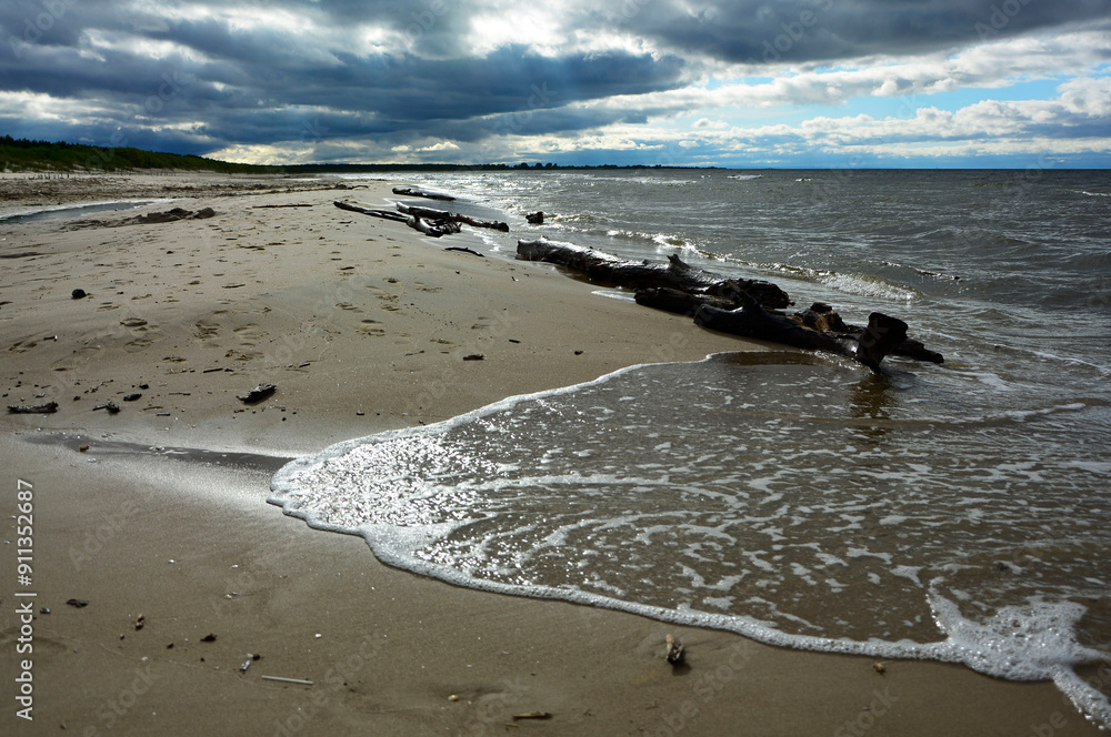 drewno na plaży na tle morza, kawałek drwena na plaży, malowniczy pejzaż nadmorski, log on the sand on the sea shore, beach scene with a large log and sand