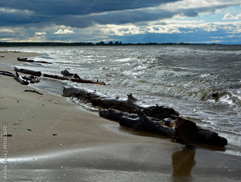 drewno na plaży na tle morza, kawałek drwena na plaży, malowniczy pejzaż nadmorski, log on the sand on the sea shore, beach scene with a large log and sand