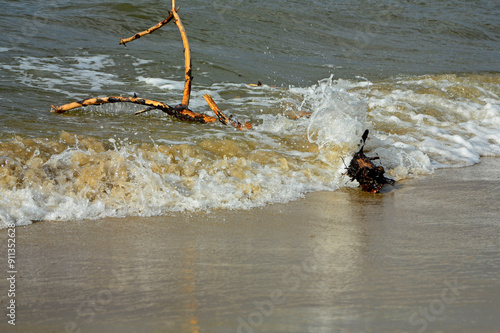Obraz na płótnie drewno na plaży na tle morza, kawałek drwena na plaży, malowniczy pejzaż nadmorski, log on the sand on the sea shore, beach scene with a large log and sand w salonie