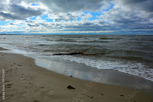 drewno na plaży na tle morza, kawałek drwena na plaży, malowniczy pejzaż nadmorski, log on the sand on the sea shore, beach scene with a large log and sand