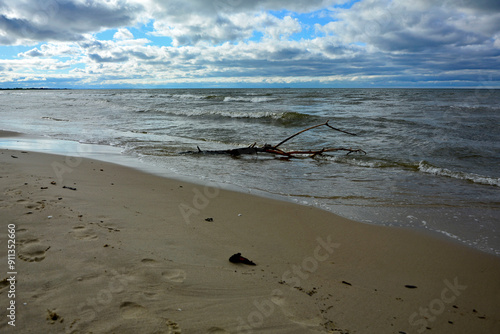 Obraz na płótnie drewno na plaży na tle morza, kawałek drwena na plaży, malowniczy pejzaż nadmorski, log on the sand on the sea shore, beach scene with a large log and sand w salonie