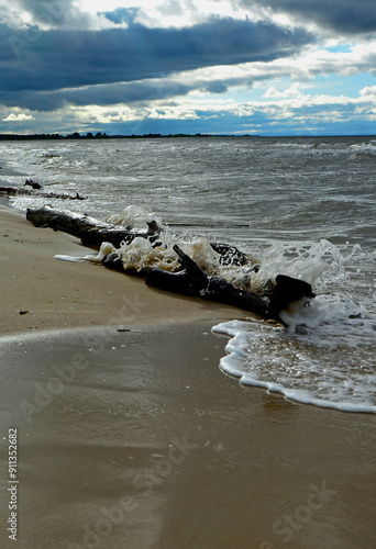 Obraz na płótnie drewno na plaży na tle morza, kawałek drwena na plaży, malowniczy pejzaż nadmorski, log on the sand on the sea shore, beach scene with a large log and sand w salonie
