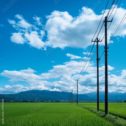 Power Towers in Vast Grassland against Blue Sky