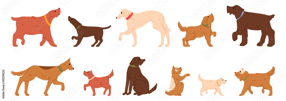 Obraz premium Domestic canine animals with furry coats and happy tails. Vector isolated set of pets, doggy with collars outdoors. Purebred breeds and stray dogs on streets. Profile view of cute doggies