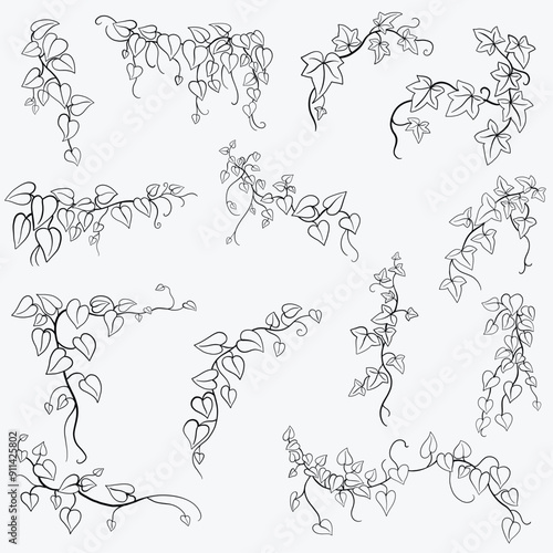 Floral ivy drawing decorative ornament flat design collection.