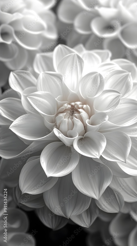 Captivating Floral Elegance Monochromatic Bloom in Serene Simplicity