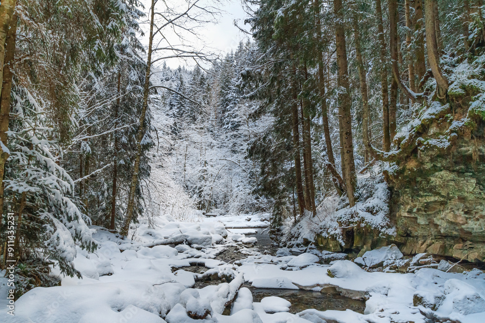 Winter landscape - view of the river in the winter forest in the Carpathian mountains after snowfall Winter landscape - view of the river in the winter forest in the Carpathian mountains after snowfall