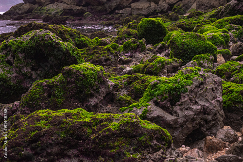 Texture of mossy rocks on the beach for abstract background