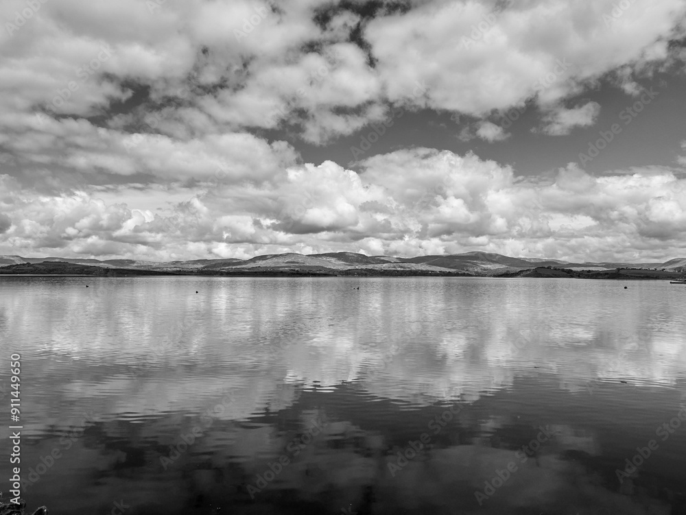 Fototapeta premium Clouds reflection in water background. Beautiful cumulus clouds reflected in the lake, nature wallpaper. Black and white monochrome grayscale photo