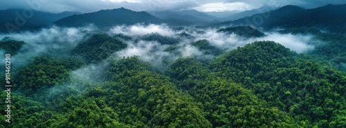 Aerial view of dense forest and mountains with clouds, landscape of green jungle, high-resolution photo 
