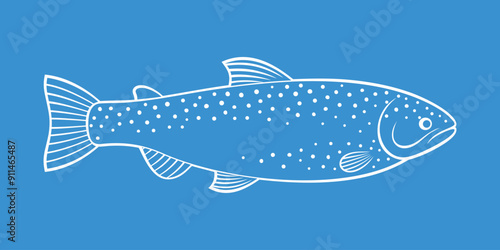 Rainbow trout outline. Isolated trout on white background