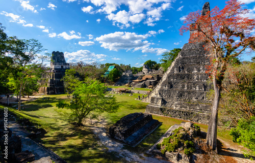 ruins of tikal