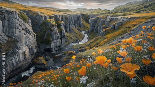 A box valley with rugged cliffs and a river running through fields of golden poppies photo