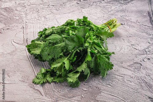 Fresh green cilantro branches heap photo