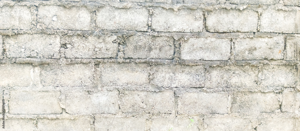 Obraz premium brick wall