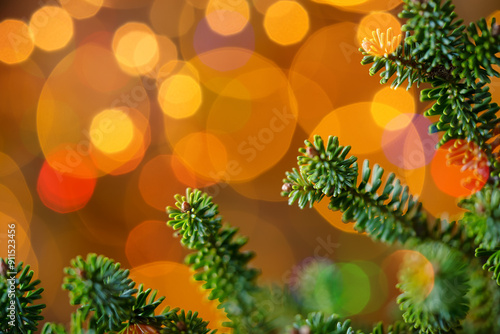 Christmas tree background with bokeh. Blurred Christmas background. New year concept, unfocused lights and copy space. Abstract bokeh, close-up photography