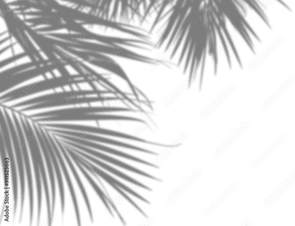 Obraz premium Tropical leaves shadow corner overlay