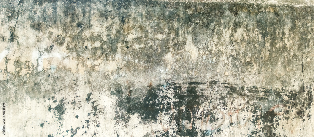 Fototapeta premium mossy cement wall building