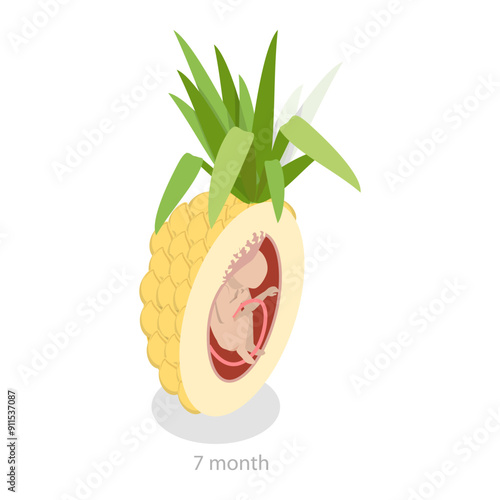 3D Isometric Flat Vector Illustration of Embryo Monthly Growth Stages, Human Fetus Development. Item 8