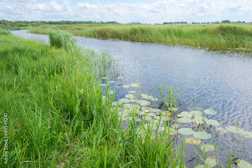 landscape in National Park Weerribben Wieden near village Blokzijl in Overijssel, The Netherlands