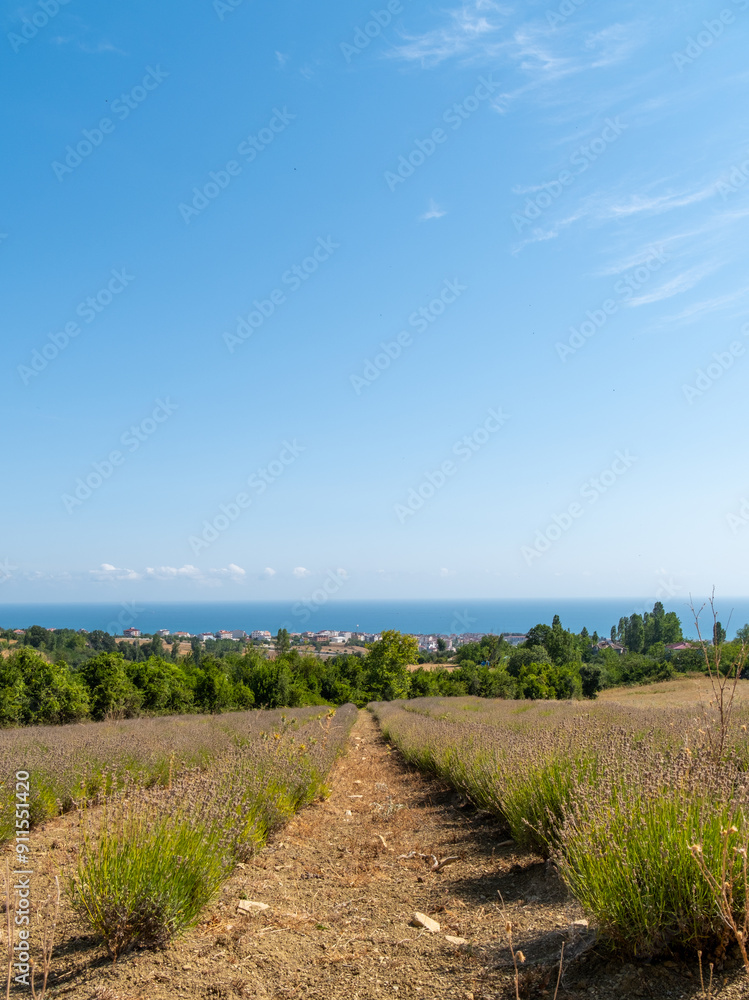 Obraz premium Stunning coastal landscape with the sea visible beyond the mountains, offering a breathtaking view of the coastline and mountain in Gerze, Sinop, Turkey, 2024
