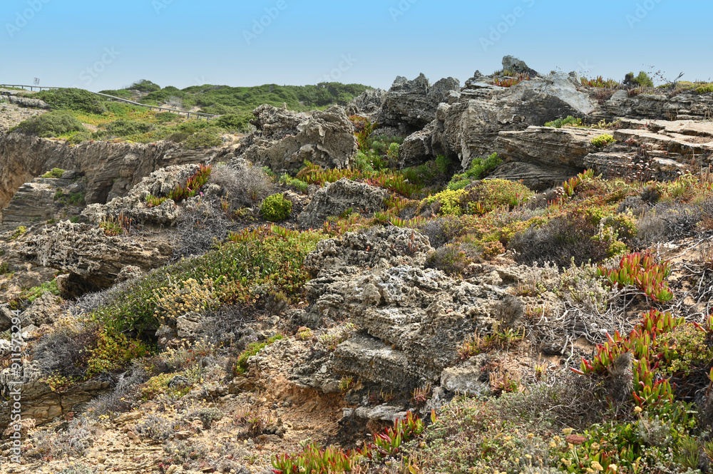Natural cliffs with rocks and ground cover plants in the sea coastline mountains hills. Natural cliffs with rocks and ground cover plants in the sea coastline mountains hills.