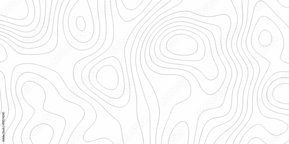Abstract wave paper curved reliefs background .gradient multicolor wave curve lines banner background design .topographic contours map background .Vector geographic contour map. Abstract wave paper curved reliefs background .gradient multicolor wave curve lines banner background design .topographic contours map background .Vector geographic contour map.