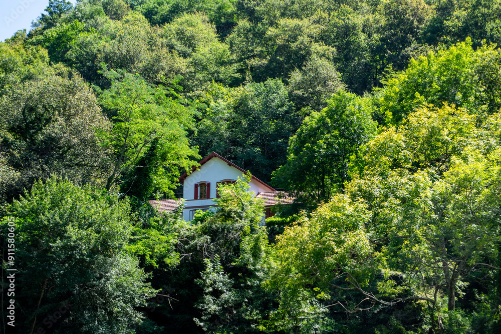 house in the woods house in the woods