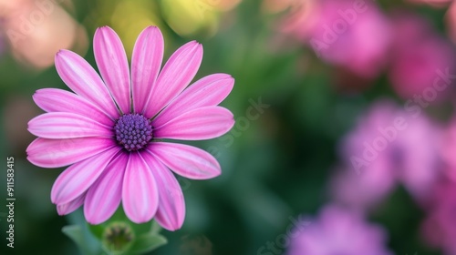Macro shot of a delicate pink flower