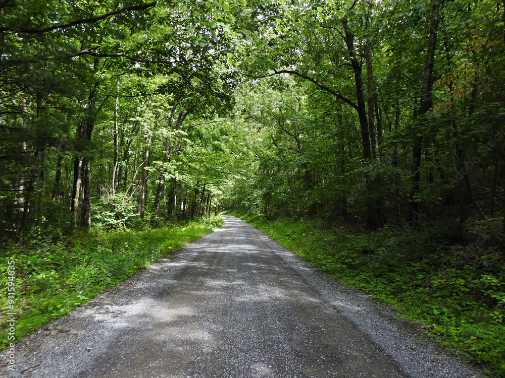 It is a beautiful drive through the woodland forest into McCalls Dam State Park. Woodland scnery, late summer season. It is a beautiful drive through the woodland forest into McCalls Dam State Park. Woodland scnery, late summer season.