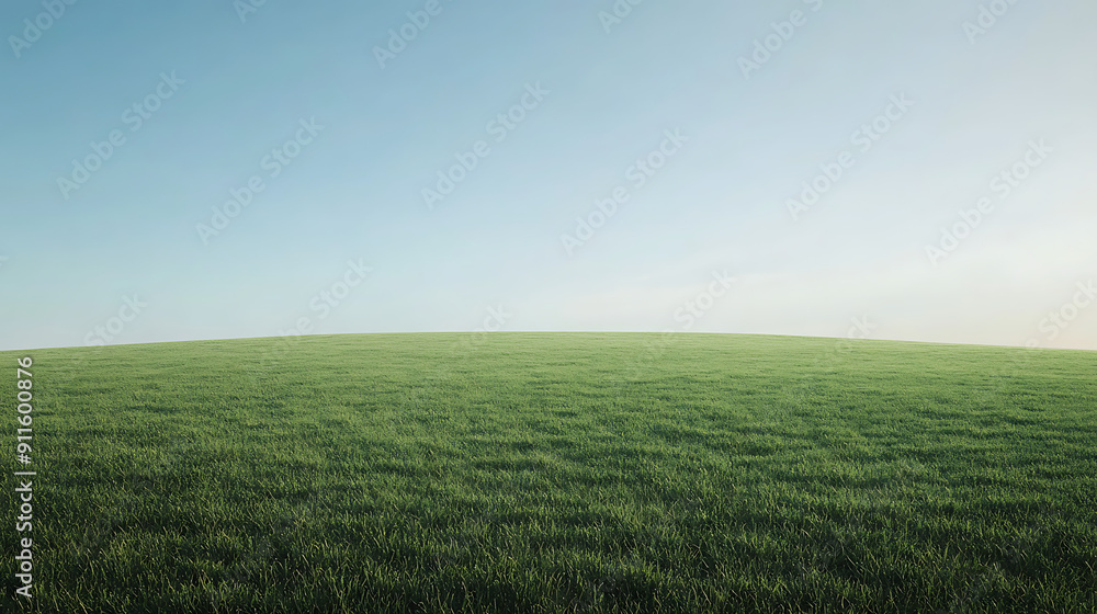 Obraz premium Green Grassy Field