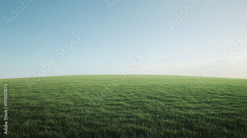 Green Grassy Field