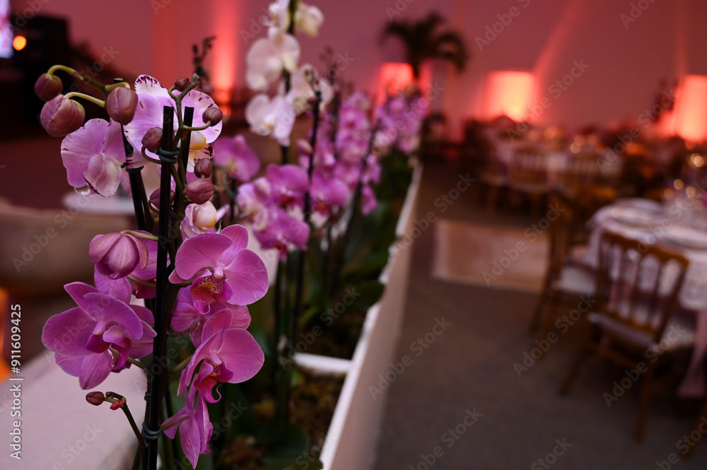 flowers in vase, orchid bed, Orchidaceae, party decoration, decoration with orchids, purple orchids, pink orchids, Liliopsida, interior decoration,flower pattern, flowers background flowers in vase, orchid bed, Orchidaceae, party decoration, decoration with orchids, purple orchids, pink orchids, Liliopsida, interior decoration,flower pattern, flowers background