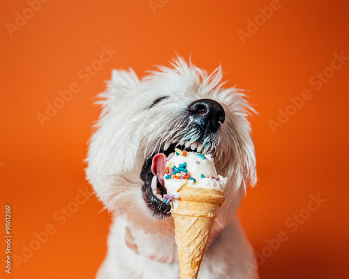 Photography Dog Ice Cream Cone Westie West Highland Terrier